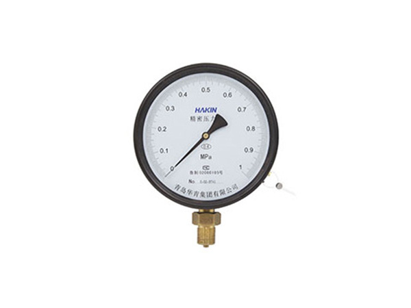 Precision pressure gauge